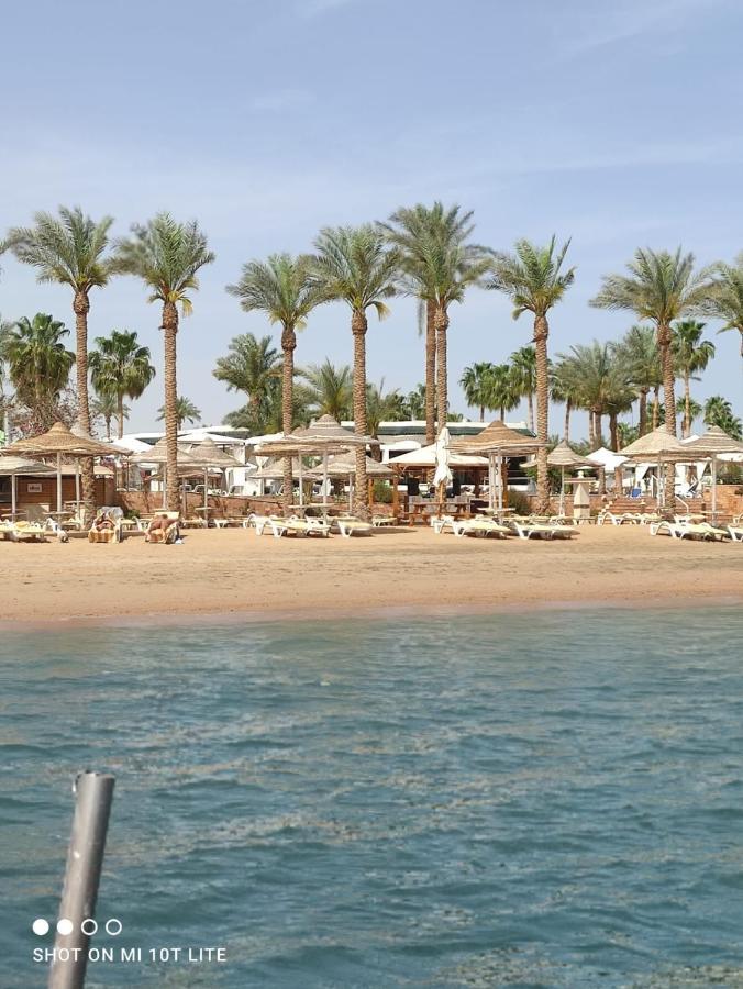 Seti Sharm Palm Beach Resort Families And Couples Only 外观 照片