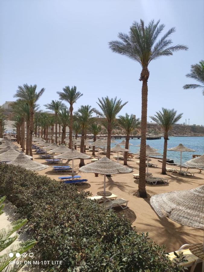 Seti Sharm Palm Beach Resort Families And Couples Only 外观 照片