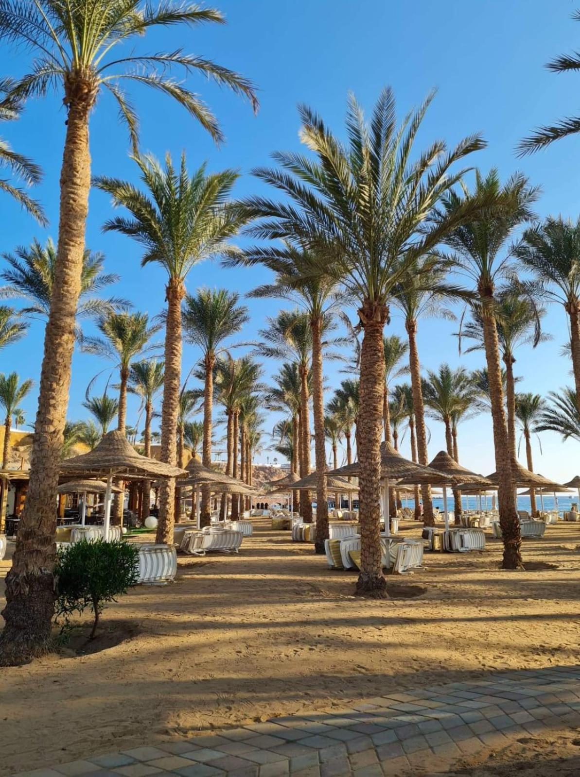 Seti Sharm Palm Beach Resort Families And Couples Only 外观 照片